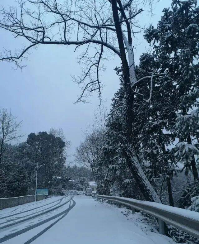 ▲国道G353张家界双峰山路段，雪后路面出现积雪，山林白茫茫一片。通讯员廖春花摄