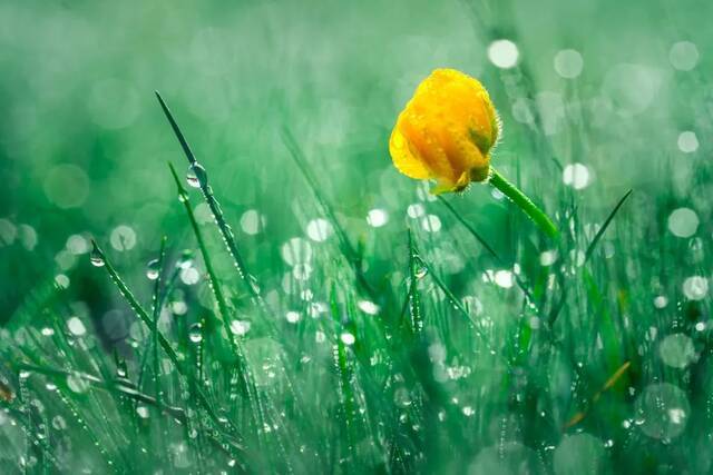 今日雨水  值此时节，我们浪漫一点~