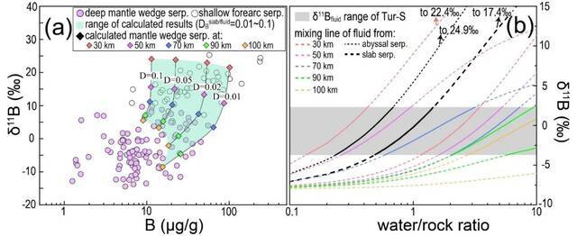 不同深度地幔楔硼同位素组成的数值模拟结果