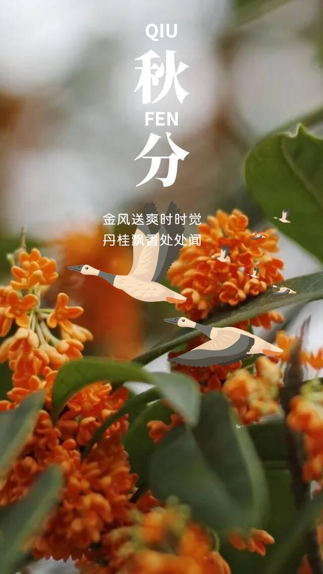 惊艳！贵师大唯美浪漫的24节气