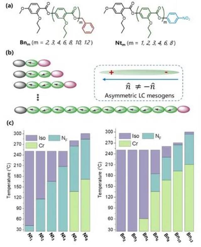 主链LC寡聚物/聚合物的化学结构(a)，不对称液晶基元示意图(b)，以及相图(c)