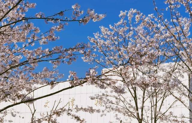 最高年薪超百万！扬州大学诚邀海内外优秀人才加盟！