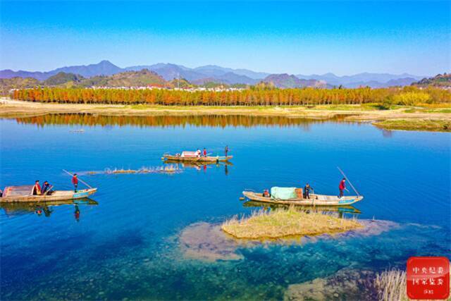 镜头  守护绿水青山