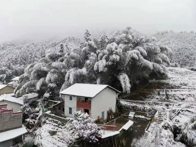 暴雪、冰冻！影响比前几次都大，江西人挺住！天气反转就在……