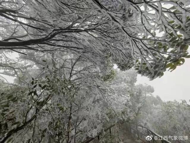 暴雪、冰冻！影响比前几次都大，江西人挺住！天气反转就在……