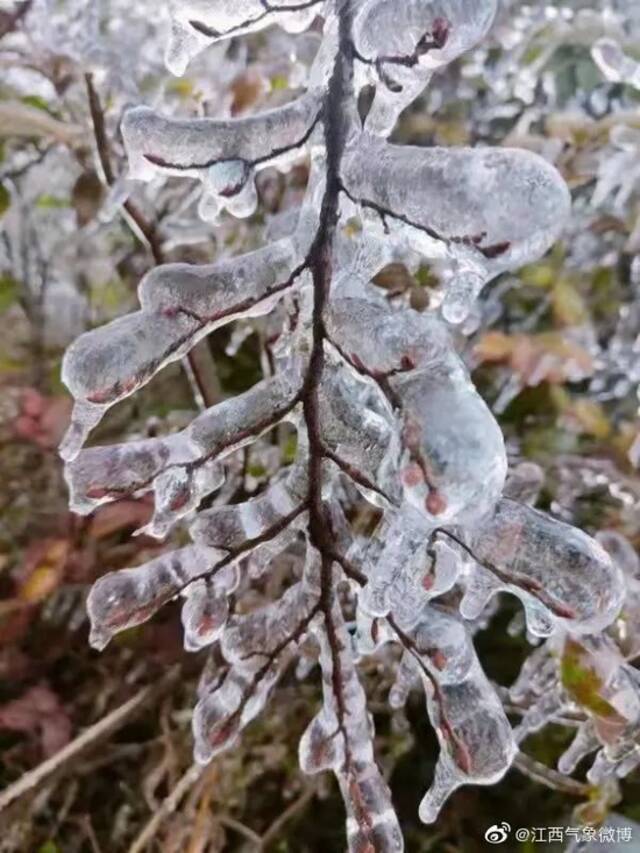 暴雪、冰冻！影响比前几次都大，江西人挺住！天气反转就在……