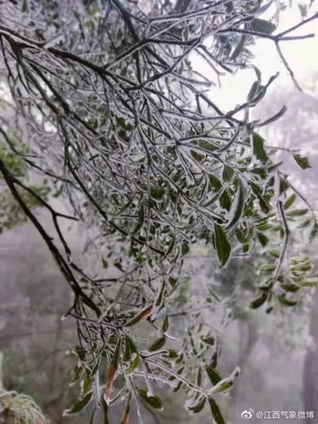 暴雪、冰冻！影响比前几次都大，江西人挺住！天气反转就在……