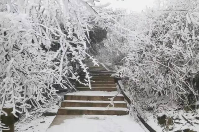 暴雪、冰冻！影响比前几次都大，江西人挺住！天气反转就在……