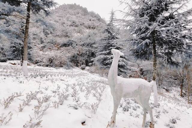 20220222  今日•雪落贵师大•很想你