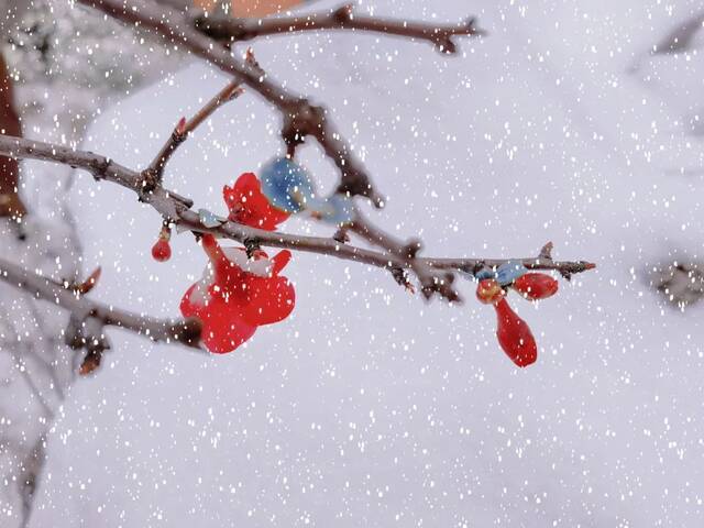 20220222  今日•雪落贵师大•很想你