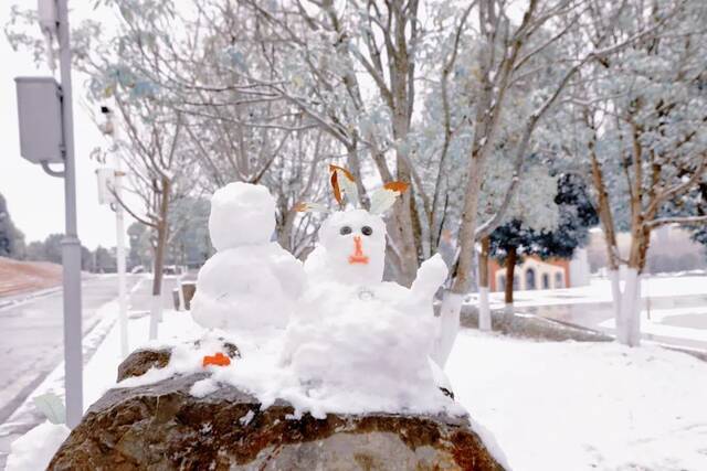 20220222  今日•雪落贵师大•很想你