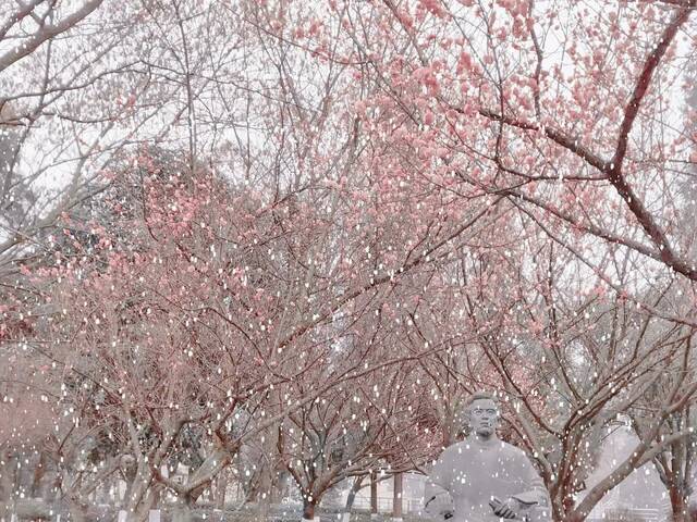 20220222  今日•雪落贵师大•很想你