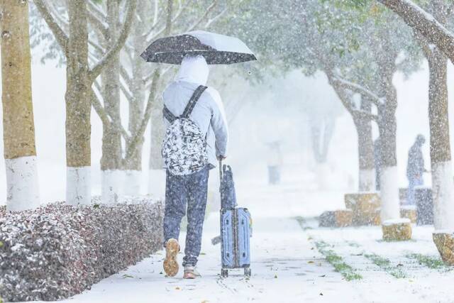 20220222，在云大遇见一场雪，开启一个新学期