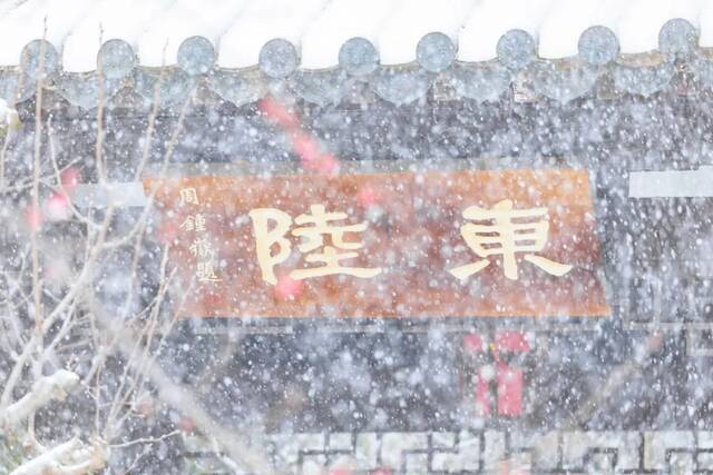 20220222，在云大遇见一场雪，开启一个新学期