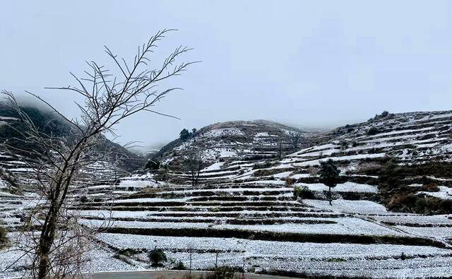 冷冷冷！暴雪 +“倒春寒”！未来几天云南…