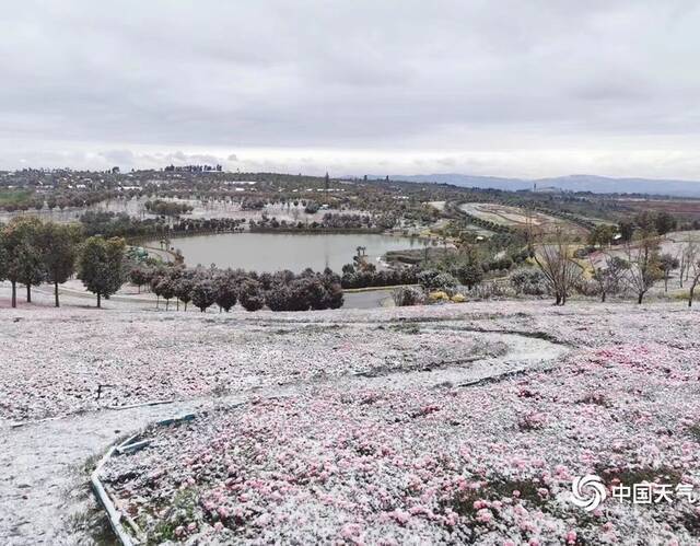 弥勒太平湖森林公园的降雪。王然摄