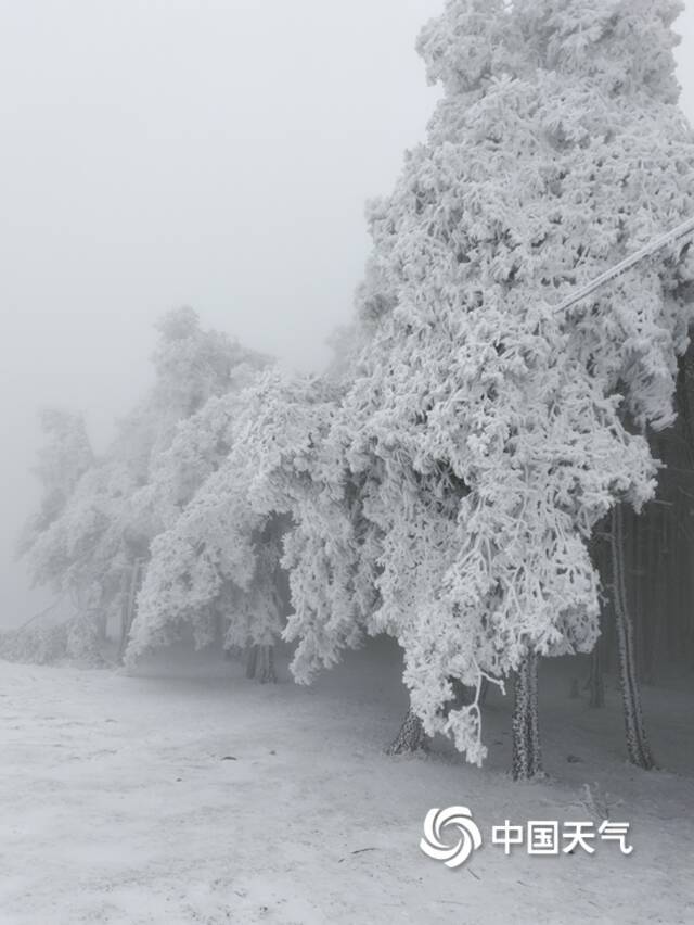 文山壮族苗族自治州丘北县舍得彝族乡的降雪。王红萍摄