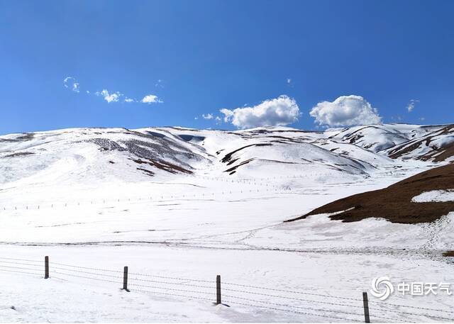 2月17日，曲靖会泽县大海乡草山滑雪场“阳春白雪”美景。蒋琼波摄