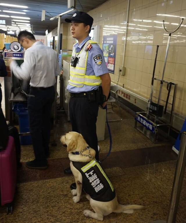 警犬“生米”退役快乐！