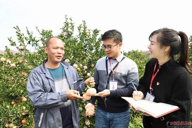 推动乡村振兴重点项目建设