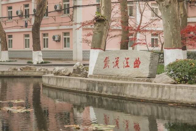 浪漫氛围感！每一帧的师大都有你！