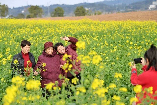 满目金黄的油菜花田，吸引了不少游客和摄影爱好者前来观光踏青。郭旭摄