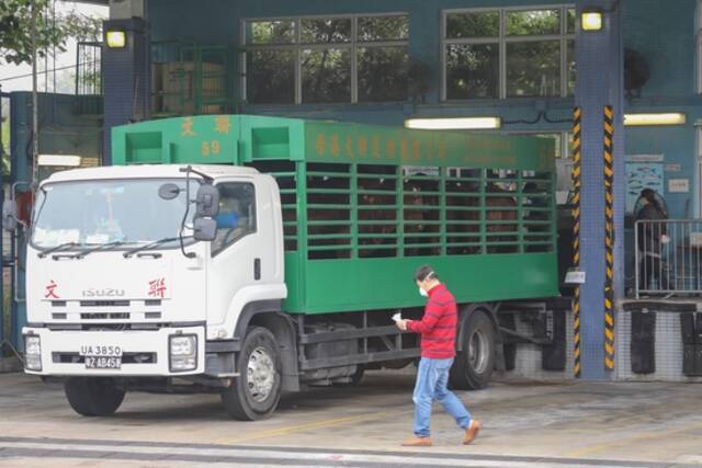 疫情下的香港跨境货车司机：平均年龄超55岁，停工就没了收入