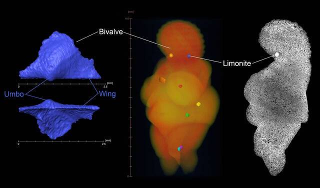 揭秘出土于奥地利威伦道夫的3万年前“威伦道夫的维纳斯”雕像的起源
