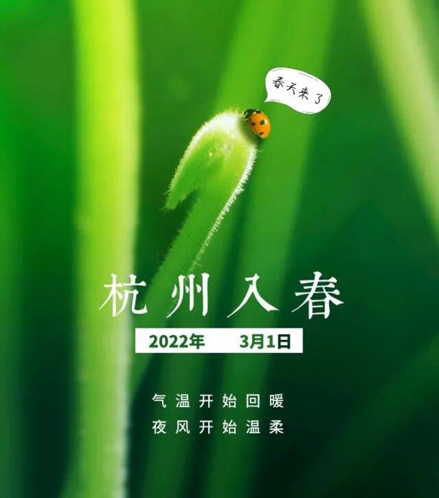 杭州等地相继入春！浙江本周有两轮冷空气，第一轮已抵达