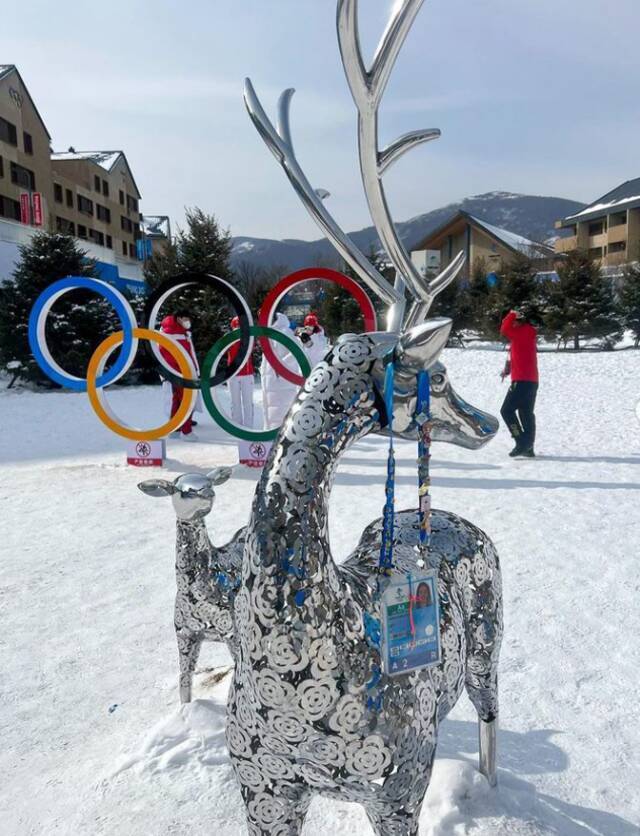 泰国代表团旗手称难忘冬奥美好回忆 与冰墩墩雪中相拥感动网友