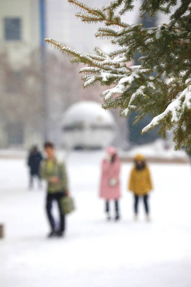 假如我是一朵雪花*