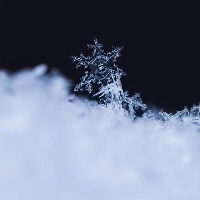 假如我是一朵雪花*