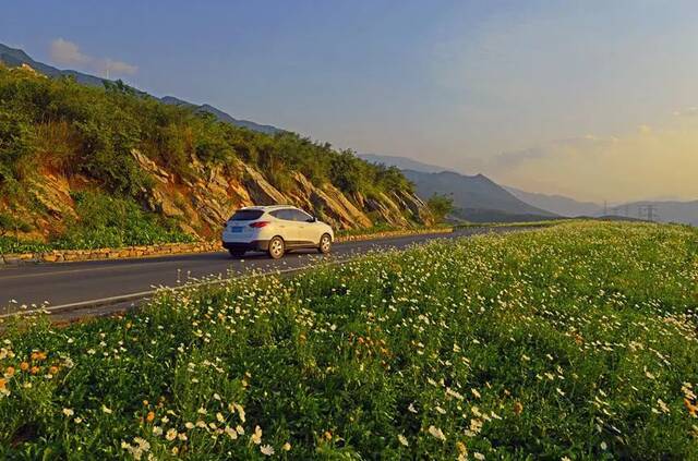 行走白武路上一路风景涪陵区交通局供图