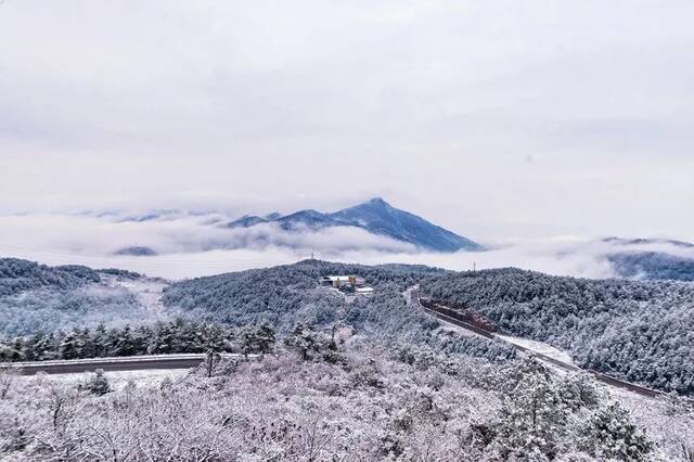 冬天白武路沿途白雪皑皑涪陵区交通局供图