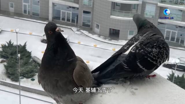 视频截图：3月1日早晨基辅的雪景。