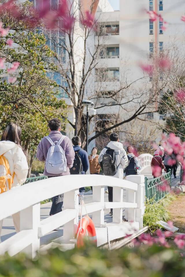 快抬头！华东师大万物蓬勃