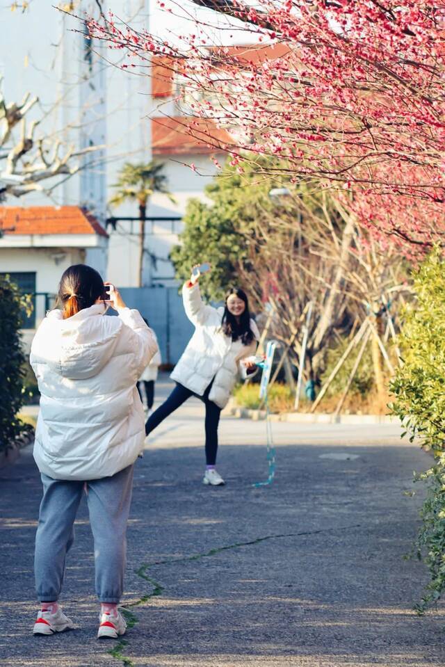 快抬头！华东师大万物蓬勃