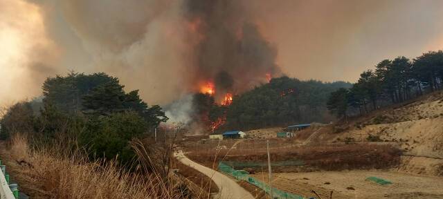 韩国蔚珍郡燃起山火