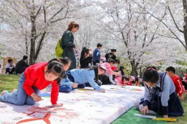 2022上海樱花节3月15日启幕！交通出行攻略新鲜出炉