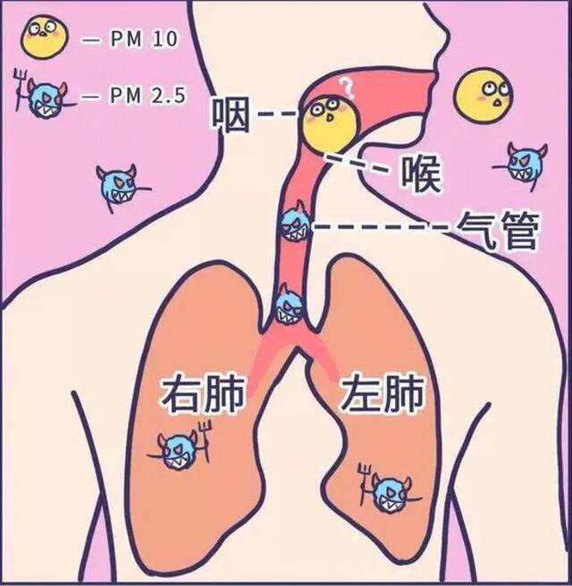 冷空气将携沙尘抵沪，明有浮尘，污染天气注意防护