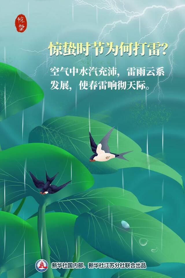 节令之美·惊蛰｜惊蛰雷动，为何虫子出洞？