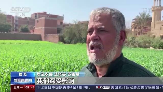 乌局势紧张推高小麦价格 全球多国受影响