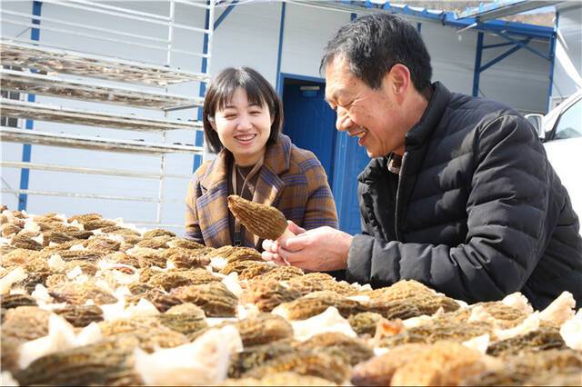 镜头  正风反腐战线上的巾帼铁军