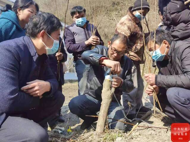 小康相册  人勤春来早