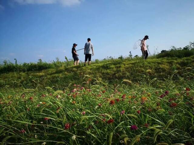 第二届“绿色希望之行”植树养护活动开启啦