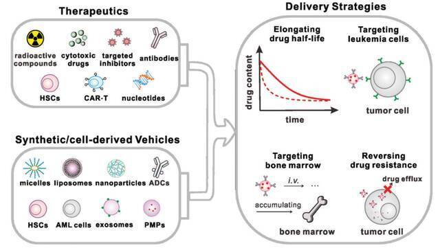 新闻  我校中药学院慈天元、冯年平团队在Chemical Society Reviews发表综述文章