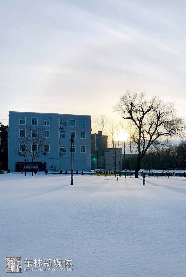 褪去风雪，细赏东林温“晴”