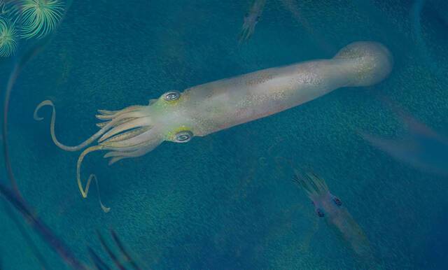 美国研究发现现代章鱼的祖先Syllipsimopodi bideni有10条腕