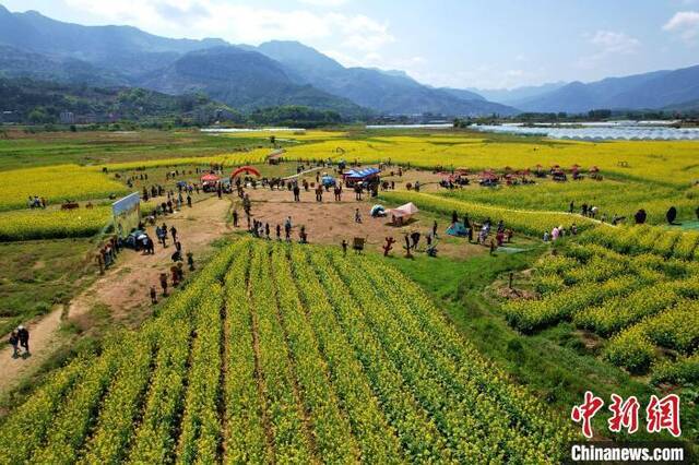 赏花经济助力乡村振兴。王东明摄