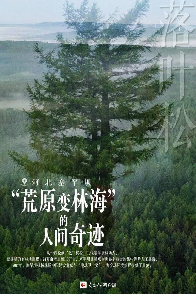 特刊  植树节：这片绿，“植”抵人心！